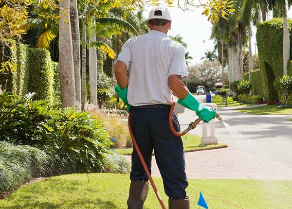 About Knightsville IN Pest Control